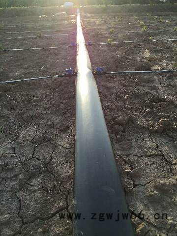 大牛  大棚管件 滴管带 农用滴灌带 滴灌带配件 直销图2