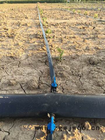 大牛  大棚管件 滴管带 农用滴灌带 滴灌带配件 直销图5