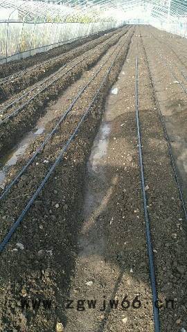 大牛  大棚管件 滴管带 农用滴灌带 滴灌带配件 直销图6