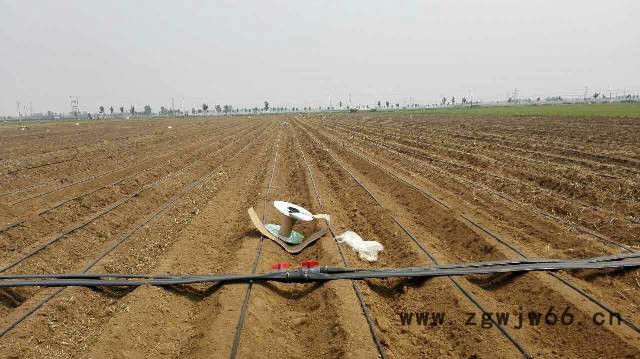 大牛  大棚管件 滴管带 农用滴灌带 滴灌带配件 直销图4