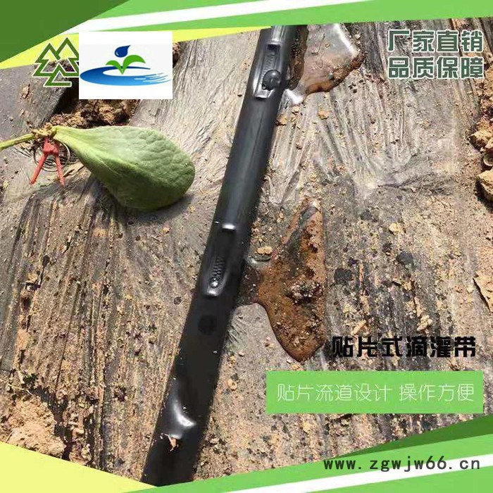 农业灌溉用Φ16mm贴片式滴灌带管件滴灌带 微喷带滴灌带 滴灌管图6