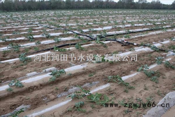 宣城广德县马铃薯灌溉软带|滴灌带管件价格图4