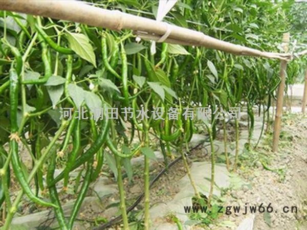 宣城广德县马铃薯灌溉软带|滴灌带管件价格图2