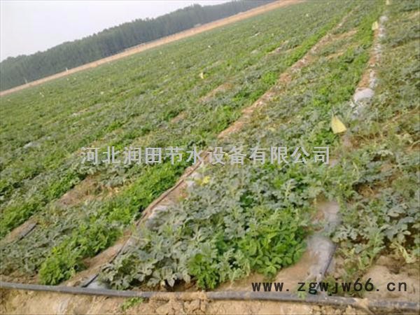 宣城广德县马铃薯灌溉软带|滴灌带管件价格图3