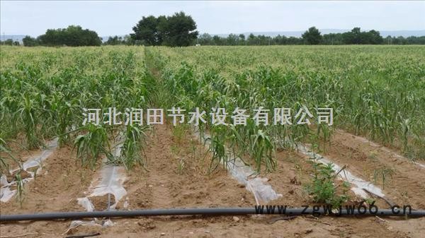 宣城广德县马铃薯灌溉软带|滴灌带管件价格图7