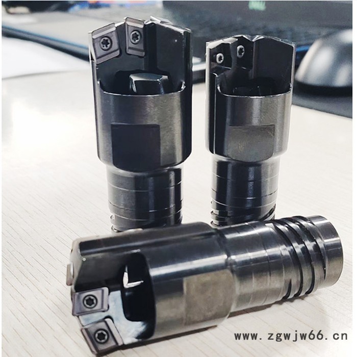 佳禄 深孔刀具TGG系列 深孔钻镗床刀具 组合滚压头 厂家批发图4