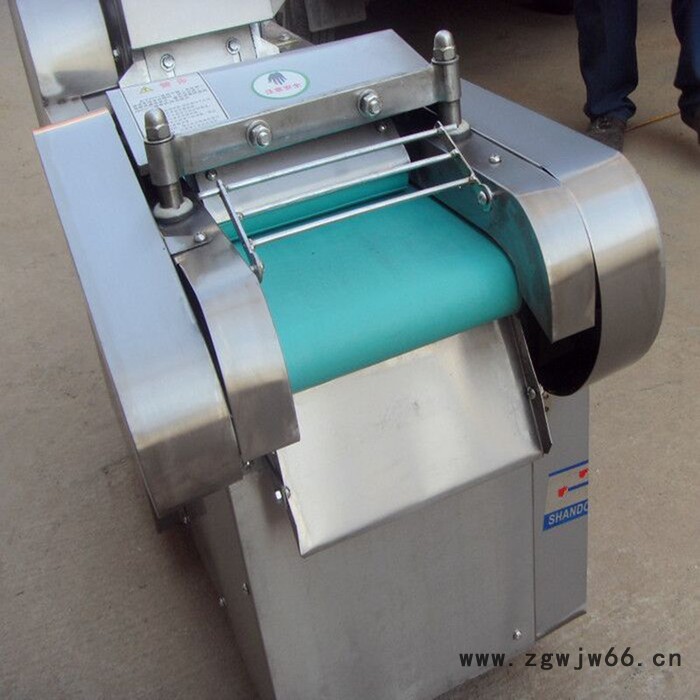 金佳机械水果切丁机 多功能海带切丝机 6个厚刀具冻肉切肉机视频图2