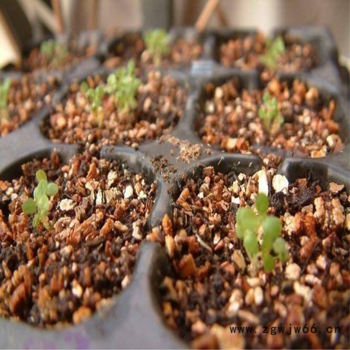 动物孵化蛭石  仪器用白蛭石耐火材料白蛭石图3