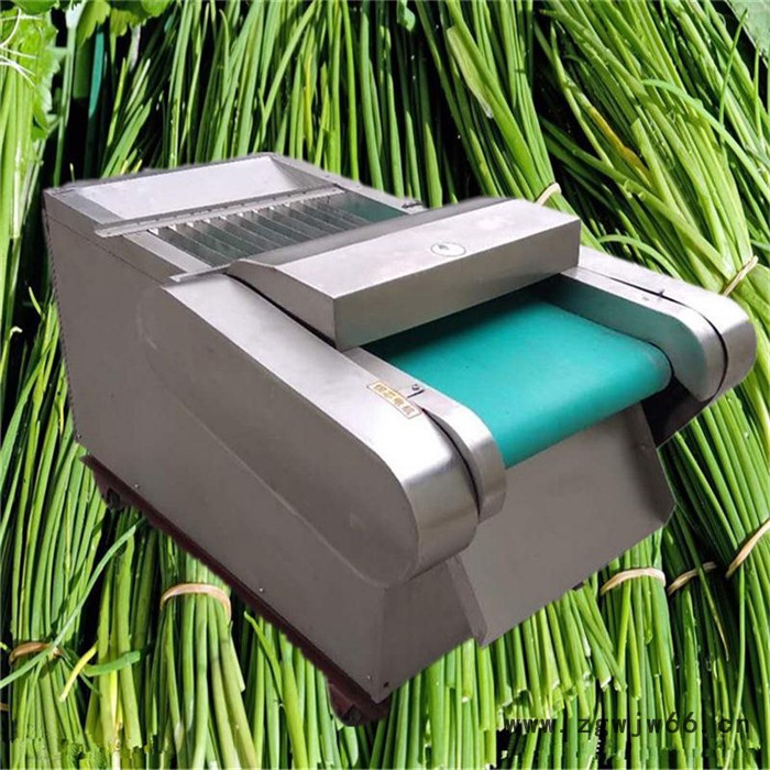 福建韭菜芹菜切段机 海带桑叶切丝机 猪皮切丝机富兴图2