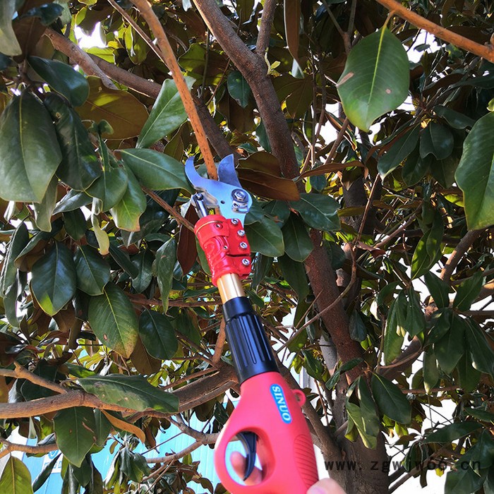 高空农业修剪机  苗圃修整机报价  果树冬季剪枝刀具 加长杆修树机图4