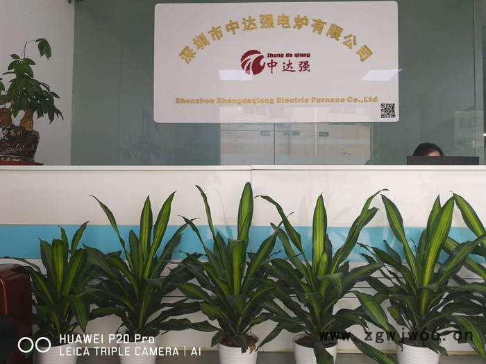 中达强 ZDZK2 1000°C高温钎焊炉 刀具钎焊炉 上海钎焊炉 温州钎焊炉 钎焊炉厂家 不锈钢钎焊炉 专业制作钎焊炉图2