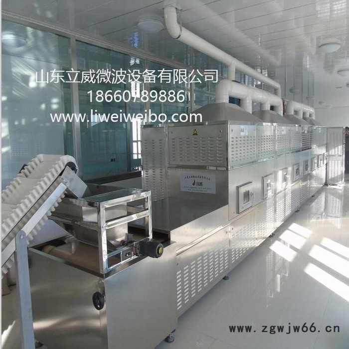 山东立威微波LW-60KWCGA微波保温材料烘干杀虫机图3