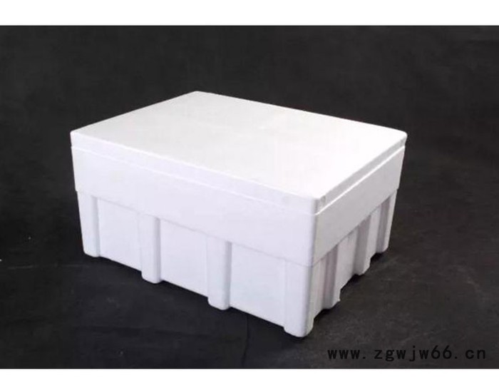 蔬菜泡沫箱 泡沫保温材料 塑料泡沫箱 衡水东涛 支持定做图3