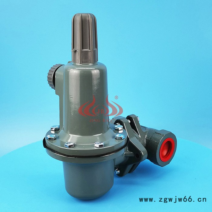 低氮燃气烧嘴WF627-25减压阀燃气稳压阀耐火材料烧嘴天然气调压阀 价格欢迎前来咨询图2