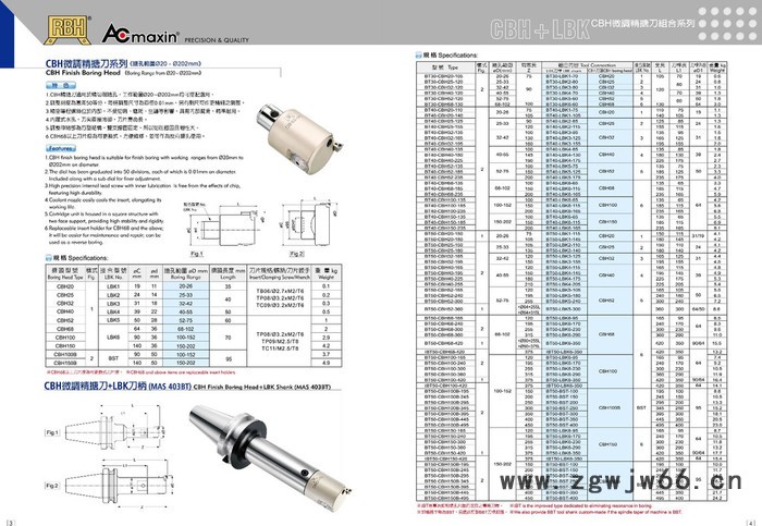 台湾立琦RBH  RBHLA  CBH   CBM  MBH  CBI数控刀具图2