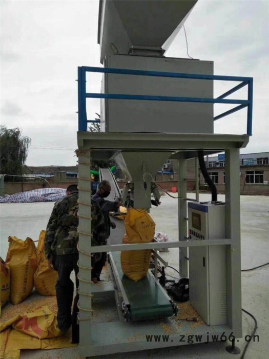 纯电动定量包装机 自动定量包装秤 定量包装机械 粮食包装机 杂粮包装机 黄豆包装机 耐火材料包装机 碎冰包装图2