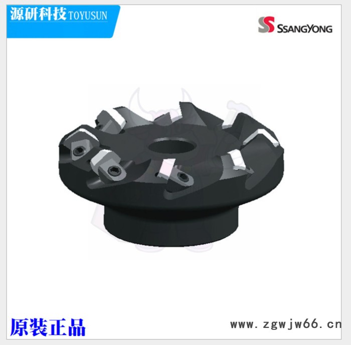 Ssangyong韩国双龙SFKP080-08-75 N4 铣削刀具图3