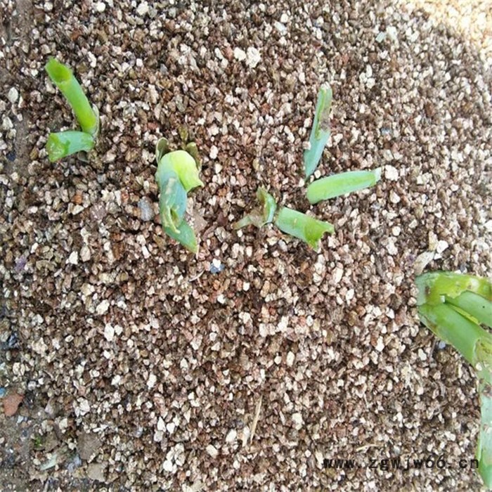 晨洋批发灵寿混合蛭石 建筑涂料蛭石 保温材料蛭石 电梯井蛭石 种花蛭石图2