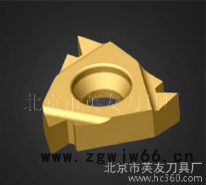 批发PCD 55度螺纹刀具图2