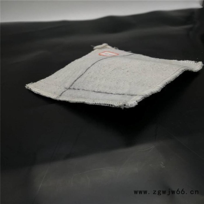 润泽 厂家供应膨润土防水毯 防水材料复合防水毯厂图8