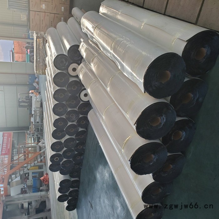 金双王防水材料 非沥青基防水卷材图2