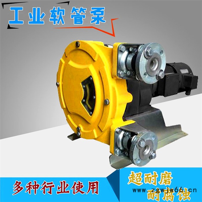 防水材料软管泵 海鲜酱注浆泵图4