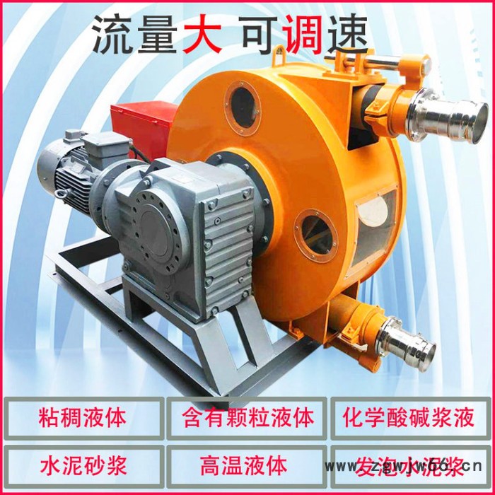 防水材料软管泵 海鲜酱注浆泵图3