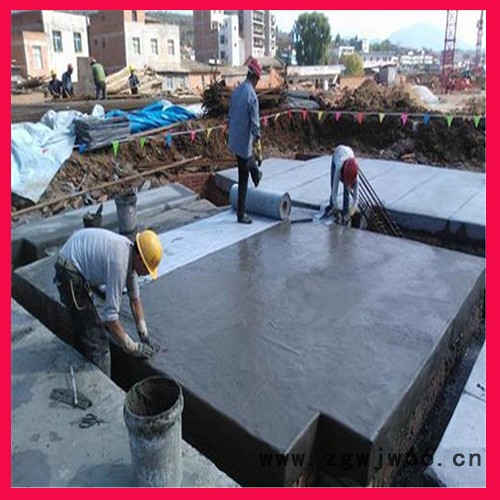 屋顶防水材料 屋面防水处理 聚氨酯防水涂料 防水堵漏 丰达图4