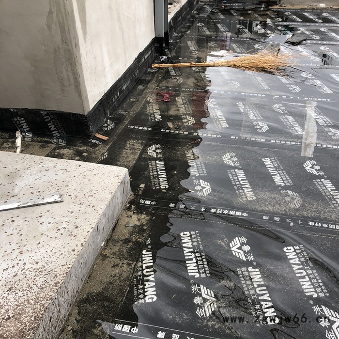 金鼎泰sbs防水材料国标 企标 sbs防水卷材 3mm4mm厚屋顶补漏聚酯胎改性沥青防水卷材料 sbs防水材料图2