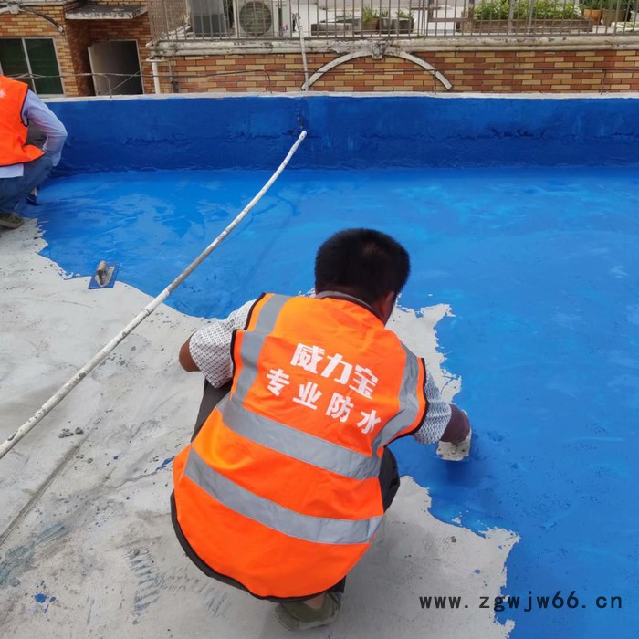 西卡107 防水材料   西卡防水图2