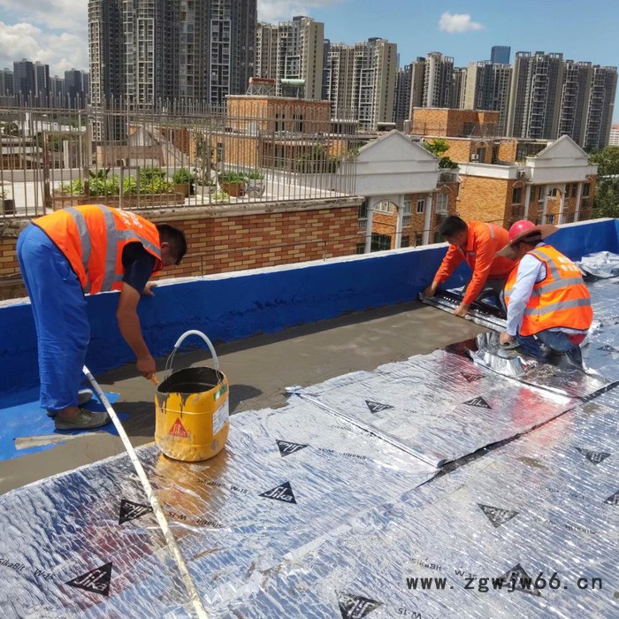 西卡107 防水材料   西卡防水图3