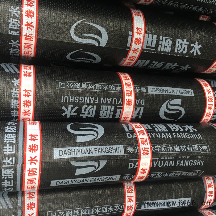 SBS防水卷材 防水卷材 防水材料 sbs防水材料 自粘防水卷材 达世源图3