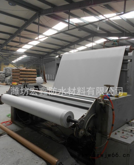 l【直销】 聚氯乙烯PVC防水卷材，防水材料图3