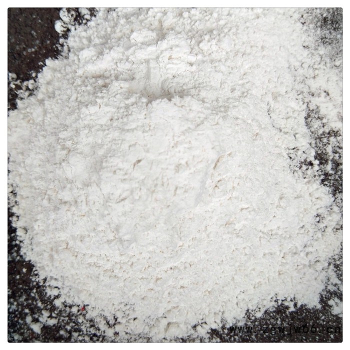辰洋供应滑石粉 海滨滑石粉 防水材料滑石粉 现货图4