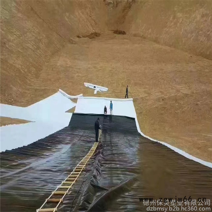 厂家供应防水板 复合自粘防水板 新型隧道防水材料图5