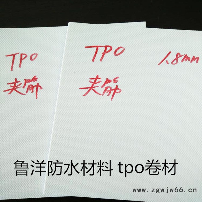 TPO屋面防水卷材 金鲁洋 TPO屋面防水卷材 屋顶建筑防水材料  欢迎订购图4