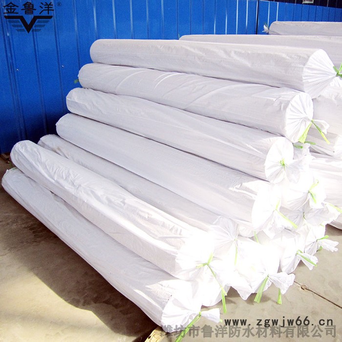 TPO屋面防水卷材 金鲁洋 TPO屋面防水卷材 屋顶建筑防水材料  欢迎订购图2