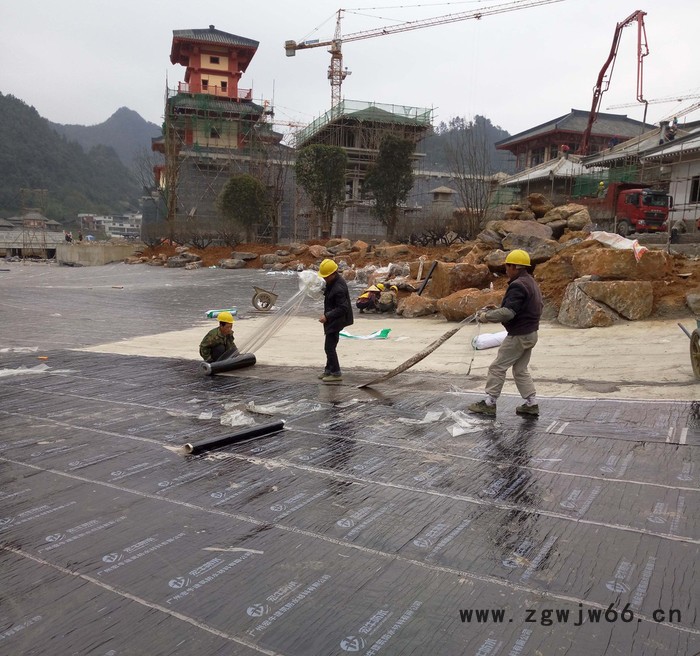 广东SBS防水卷材屋面防水材料价格图3