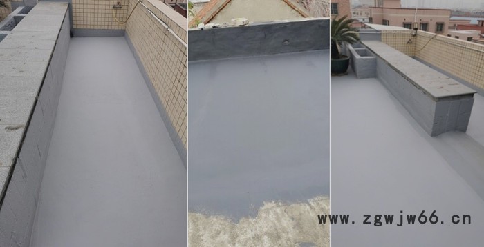 美斯特 楼顶外露防水涂料  广州屋面外露型防水材料源头厂家图2