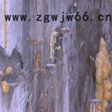 防水材料.水性聚氨酯注浆液，聚氨酯防水涂料图2