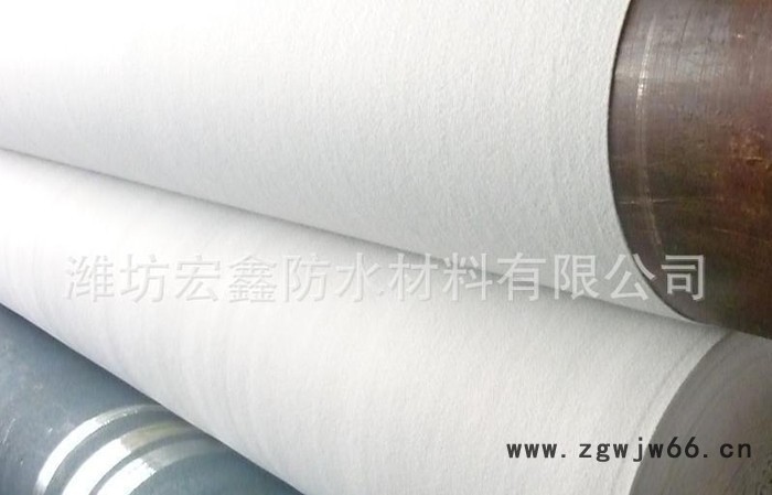 【宏鑫防水】l专业提供EVA防水板卷材防水卷材防水材料图3