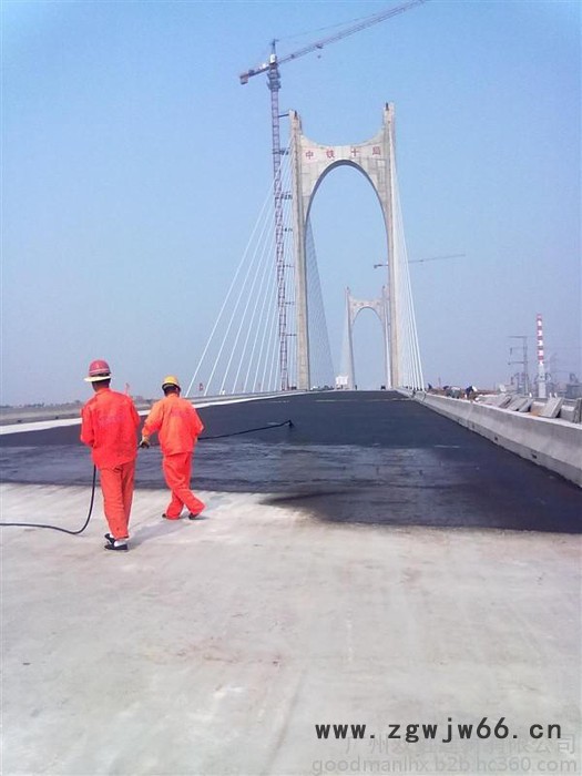 FYT-1]AMP-100桥面防水材料 厂家双虹品牌 防水涂料图5