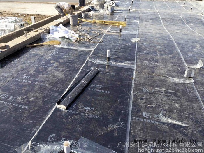 广东自粘防水卷材SBS免火烤防水材料图2