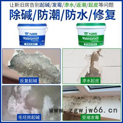 环氧背水涂背水面抗压防水材料背水面抗渗防水材料厂家招代理图2