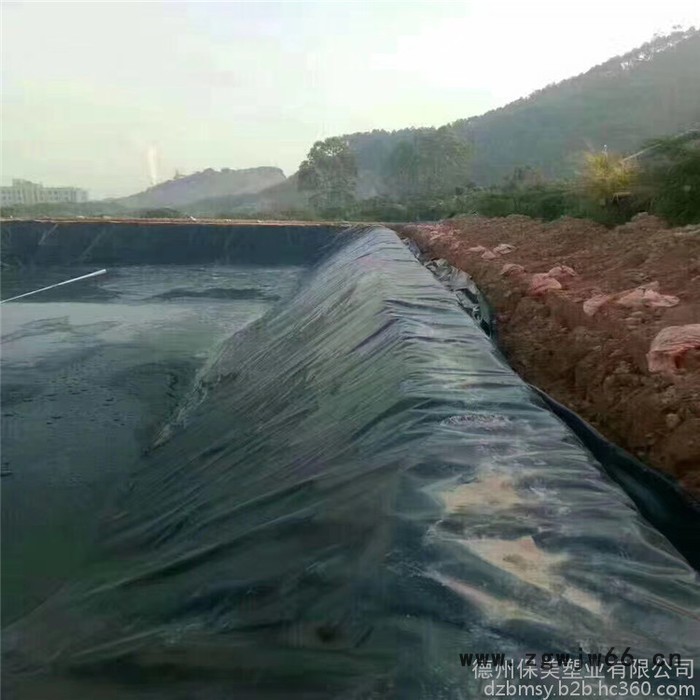 德州保美**复合自粘防水板 新型隧道防水材料图7