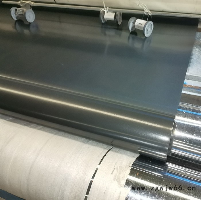 防水板 土工膜 长丝土工布 垃圾填埋场用防水材料 领翔供应图3