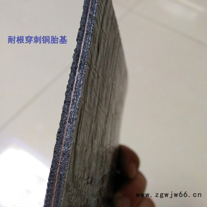 金双王防水材料 耐根穿刺防水卷材 耐根穿刺防水卷材厂家 穿刺防水卷材图4