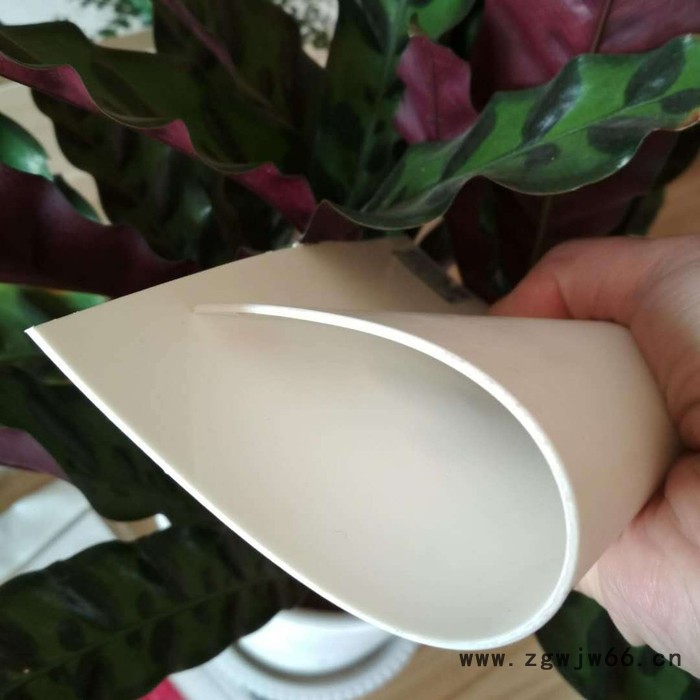 金双王防水材料 耐根穿刺防水卷材 耐根穿刺防水卷材厂家 穿刺防水卷材图2