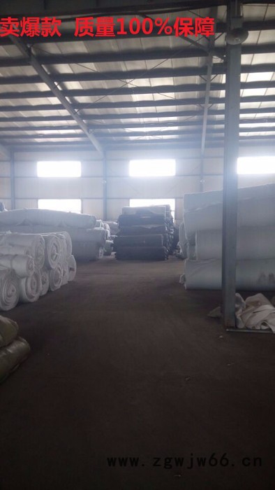 致辰推荐膨润土防水毯   覆膜防水毯 价格优惠   天然防水材料图4