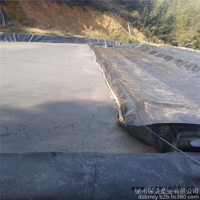 长期供应防水板 复合自粘防水板 新型隧道防水材料，山东防渗膜生产厂家图3